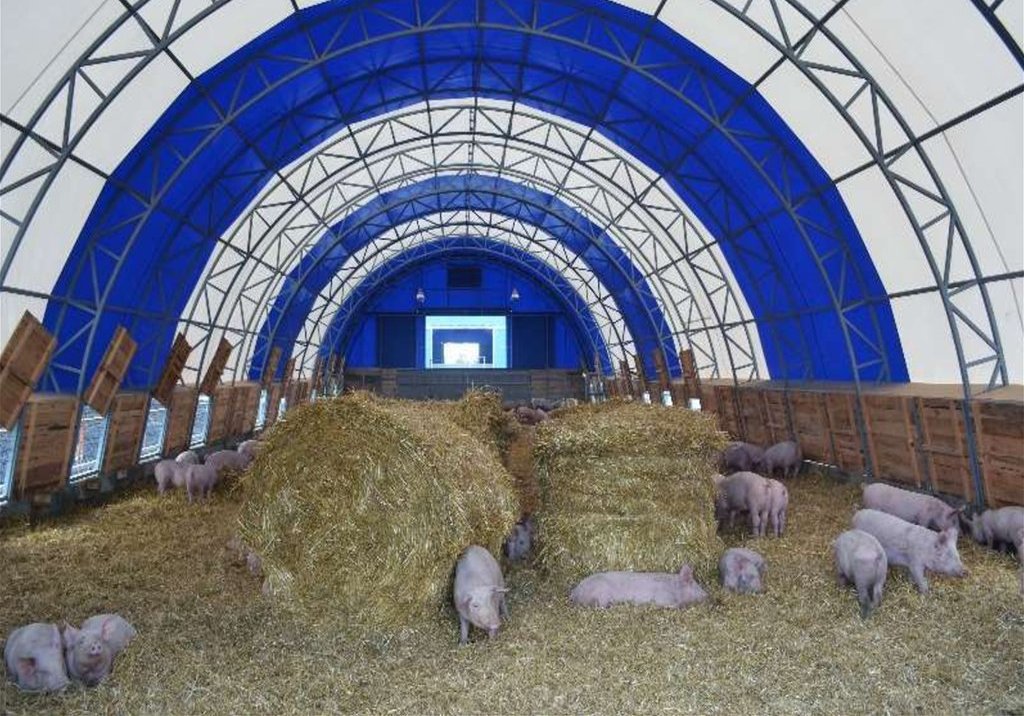 Свинарник арочного типа