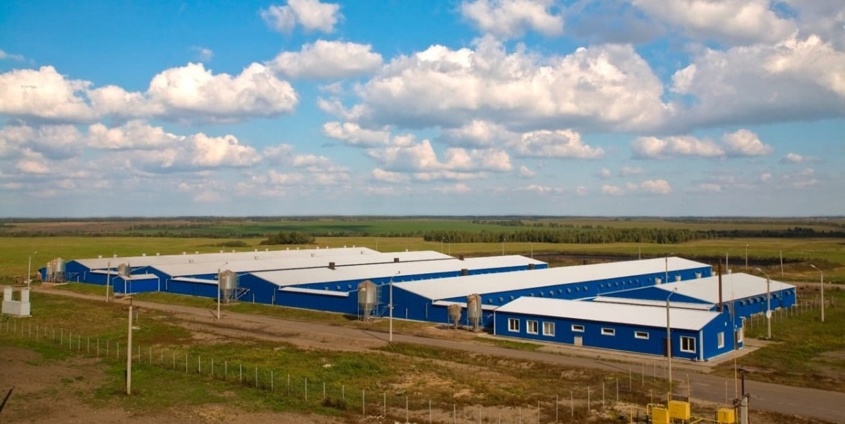 Свинокомплекс из быстровозводимых зданий